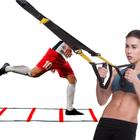 Fita TRX Equipamento de Treinamento Suspenso Reabilitação Musculação Exercícios Funcionais Treinos de Agilidade Cross Training Fisioterapia Musculação - Icarus Fitness