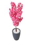 Flor Cerejeira Pink Japonesa Arranjo Artificial Com Vaso de Decoração