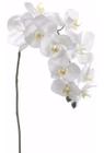 Flores Artificiais 2 Hastes De Orquídeas Grande Branca