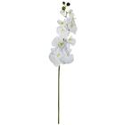 Flores Artificiais Haste de Orquídea Branca Linha Permanentes Formosinha