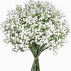 Flores artificiais LYLYFAN Babys Breath Gypsophila x6