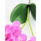 Flores Artificiais Phalaenopsis Orquidea Artificial Raizes Silicone 3d Toque Real Branco ou Roxa 50cm Decoração Romântica Favorito Arranjo