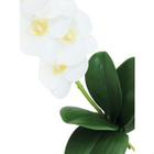 Flores Artificiais Phalaenopsis Orquidea Artificial Raizes Silicone 3d Toque Real Branco Roxa 50cm Decoração Romântica Favorito Arranjo