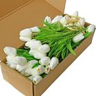 Flores de Tulipa Artificial de Seda Mandy White - 76 Unidades - 35cm