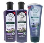 Flores E Vegetais Blond Violeta Matizador Kit Matizante 3 Passos