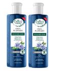 Flores E Vegetais Kit Shampoo Matizante Platinado 2 Uni