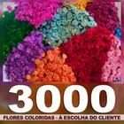 Flores Sempre Vivas - COLORIDAS - 3000 unidades - VIVA FLORES