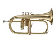 Flugelhorn Michael WFHM35 Laqueado C/estojo