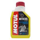 Fluído Para Radiador De Motos Motul Motocool Expert 1 Litro