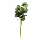 Folha de Eucalipto Planta Artificial Plástico Flor Are - DeA