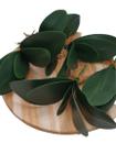 Folha de Orquidea Planta Artificial Silicone Toque Real para Arranjos Decoração