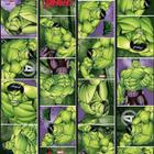 Folha para Ovos de Páscoa Hulk 69x89cm - 05 unidades - Páscoa Hulk - Rizzo Embalagens - CROMUS