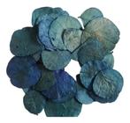Folhas Azul Secas Desidratadas Decoração Enfeite