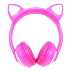 Fone De Ouvido Bluetooth Gatinho Exbom - Rosa