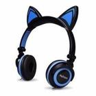 Fone Ouvido Headphone Com Fio Estéreo Orelha Gato Gatinho com Glitter  Infantil P2 ZAT-251 - BEST SALE SHOP