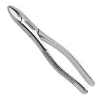 Forceps Odontológico Dente 01 Adulto Golgran