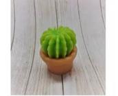 Forma Silicone Sabonete Resina 207 - Cacto - Cactus - Decore Artesanatos SP