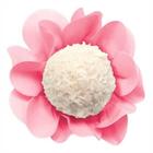 Forma Style Rosa Com 40 Unidades Ultrafest