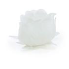 Forminha Rosa Branca Cromus com 24 unidades