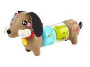 Fp cachorrinho dachshund - htw91