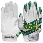 Franklin Sports Dakota do Norte Bison Youth College Futebol