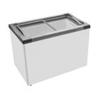 Freezer Horizontal Metalfrio 2 Portas de Vidro 284 Litros NF30S