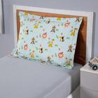 Fronha Avulsa Estampada Infantil Joy 1 Peça 70cm x 50cm Percal 180 Fios - Valle Enxovais