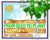 Froom seed to plant