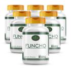 Funcho 360 Cápsulas 500Mg 100% Puro 6 Potes Premium - Suplemenpure