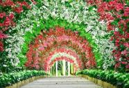 Fundo Fotografico Jardim Vermelho Em Tecido 2,2M X 1,5M