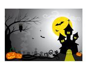 Fundo fotográfico Tecido Sublimado Newborn 3D Halloween 2,20x1,50 WFF-833