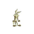 Funpin Decorativo Looney Tunes Coiote Grande