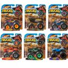 Fyj44 hot wheels monster trucks carros surpresa escala 164 sort t7075 1