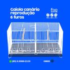 Gaiola Canario Reprodução 6 Furos