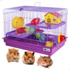 Gaiola de Hamster 2 Andares com Tubos Rodinha Bebedouro Comedouro Casinha Lilás - JELPLAST