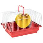 Gaiola Hamster Básica Roedores Rodinha Brinquedo Jel Plast