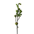 Galho Artificial Figo Verde x5 88cm - BeArt