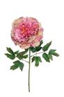 Galho Flor Peonia GD Rose Envelhecido 68cm - Kaza Decore