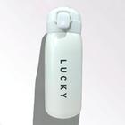 Garrafa Térmica Estilo Lucky Fofa Cores 350ML