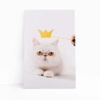 Gato Peludo Branco Coroa Pets Animais Quadro Canvas 60X40Cm