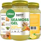 Gel de musgo marinho MAX FIT, açafrão orgânico, gengibre e limão, 700 ml