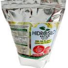 Gel De Plantio Com Nutrientes - HIDROSILO