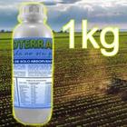 Gel para Plantio 1kg Eucalipto Frutíferas - Hidroterragel