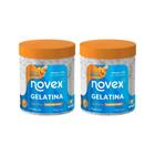 Gelatina Capilar Novex 1000g Oleo de Argan Nutritiva - 2un