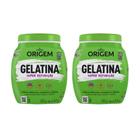 Gelatina Capilar Origem 400G Super Definiçao - Kit Com 2Un