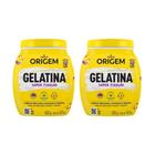 Gelatina Capilar Origem 400G Super Fixacao - Kit Com 2Un