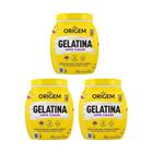 Gelatina Capilar Origem 400G Super Fixacao - Kit Com 3Un