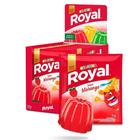 Gelatina em Pó Royal Morango 25g Display 15 unidades