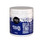 Gelatina Hidratante Cremosa Todecacho Salon Line 550gr