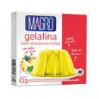 Gelatina Magro com Sucralose Sabor Abacaxi com Hortelã 10g